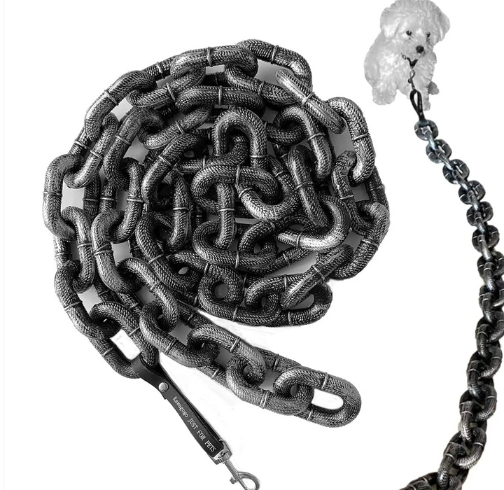 The Pawfect Chain | Leash for Dogs
