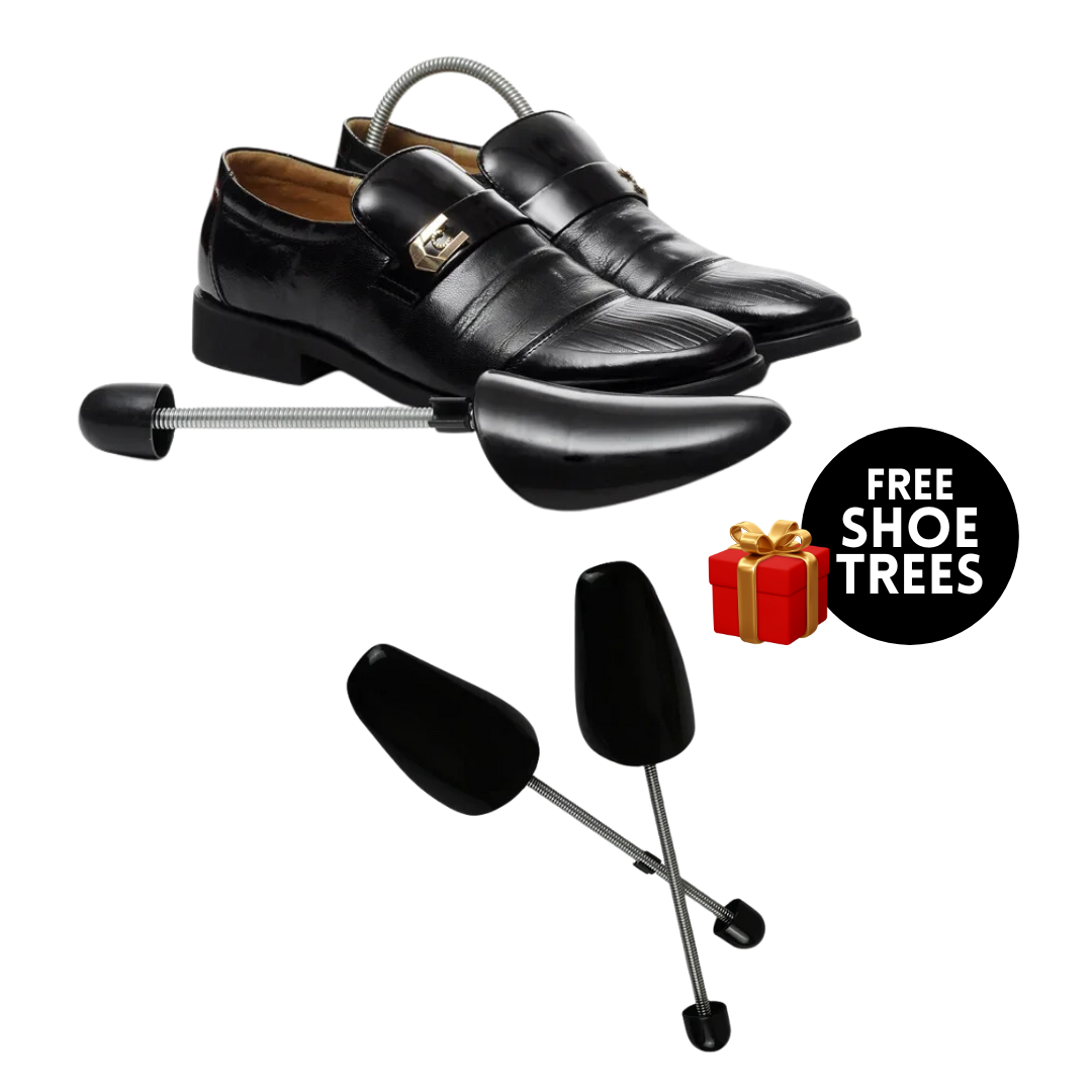 DryBoost Pro 2.0 with Free Shoe Trees